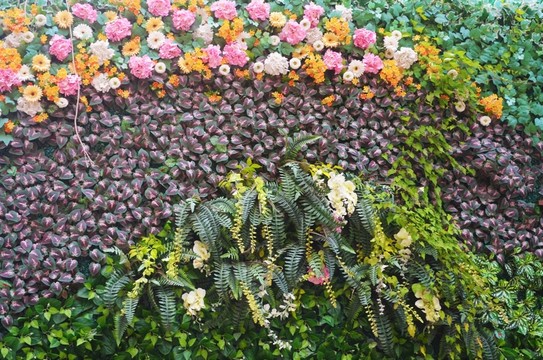 綠植墻