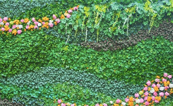綠植墻