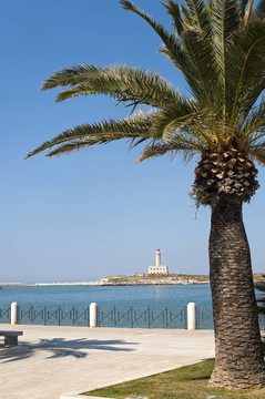 Vieste（福賈；加爾加諾；普利亞；意大利）從公園的燈塔