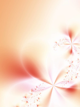 摘要花