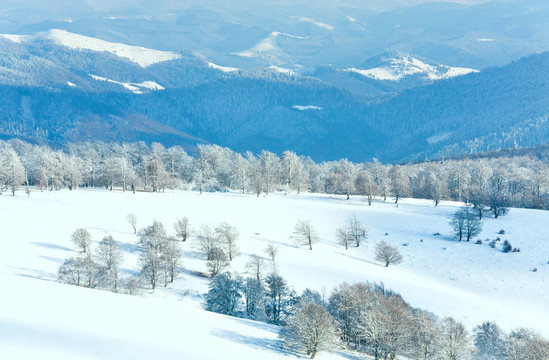 第一次冬季雪和高山山毛櫸森林