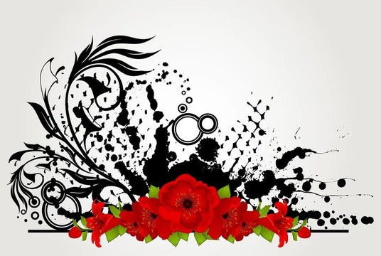 摘要花