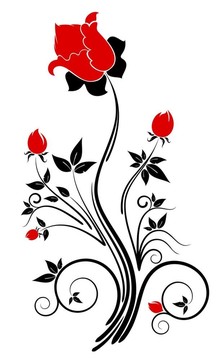 摘要花