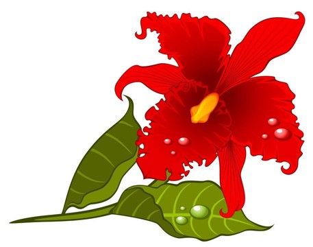 蘭花