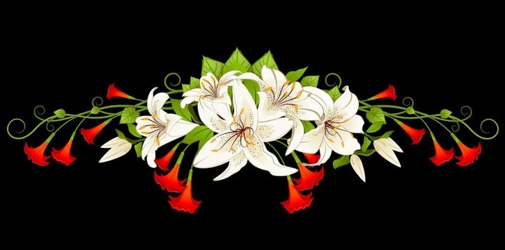美麗的花朵