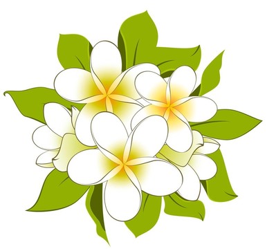 背景與美麗的花朵