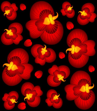 背景與美麗的蘭花