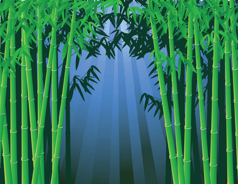 竹的背景