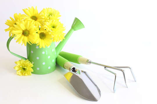 Yellow Flowers園藝工具