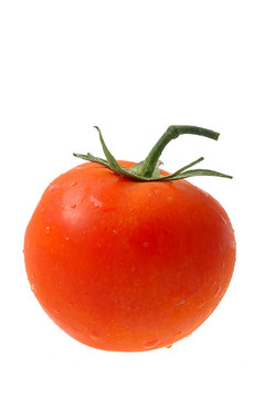 番茄