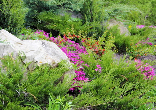 針葉植物園