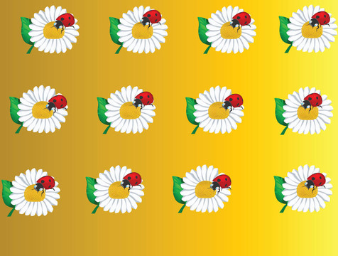pattern_camomiles和瓢蟲