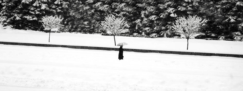 暴風(fēng)雪中的孤獨(dú)