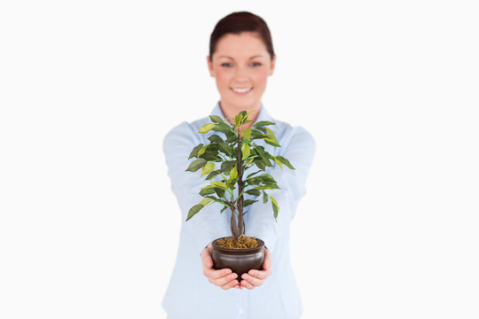 漂亮的紅頭發(fā)的女人抱著一盆植物