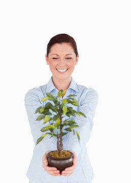 漂亮的紅頭發(fā)的女人抱著一個室內(nèi)植物在白色背景上的站