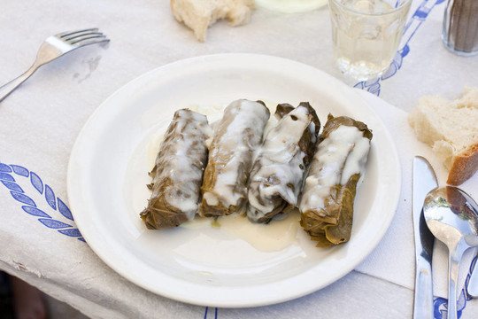 多爾瑪?shù)滤? style=
