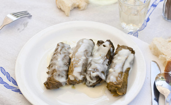 多爾瑪?shù)滤? style=
