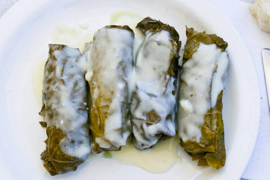 多爾瑪?shù)滤? style=