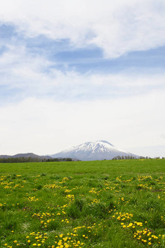 草原和藍(lán)天