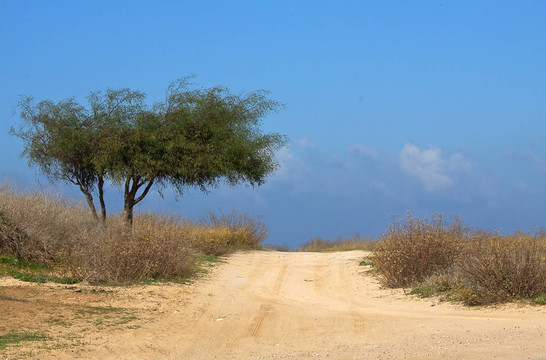 沙漠公路