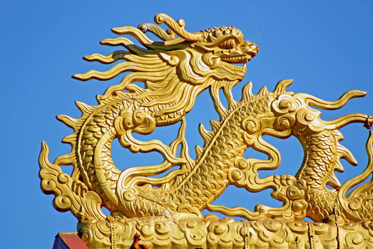 黃金龍