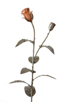 金屬玫瑰和芽分離