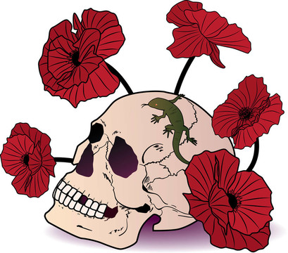 顱骨；蜥蜴和罌粟花