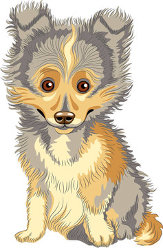 向量的小狗喜樂蒂牧羊犬；牧羊犬；犬的微笑