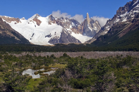 在雪地上的Fitz Roy
