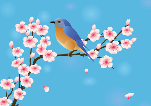 羅賓與櫻花