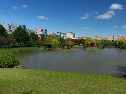 張江科技園湖光秋色