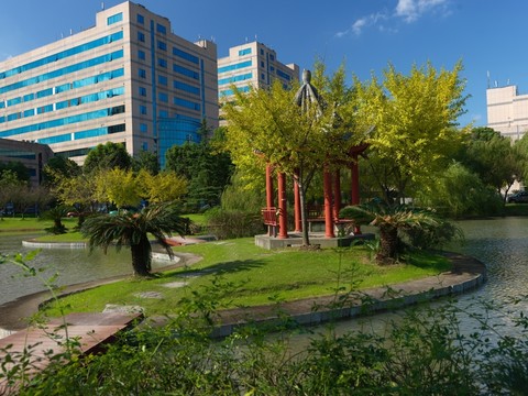 張江科技園湖光秋色