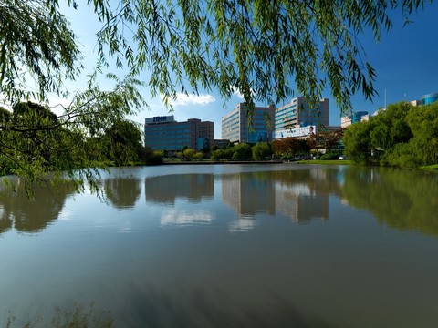 張江科技園湖光景色