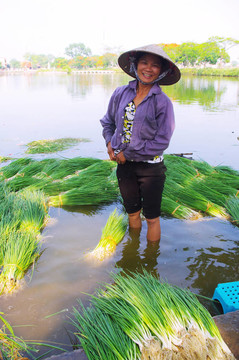 農(nóng)民洗菜