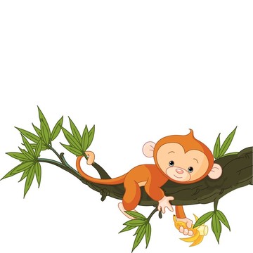 樹上的小猴子