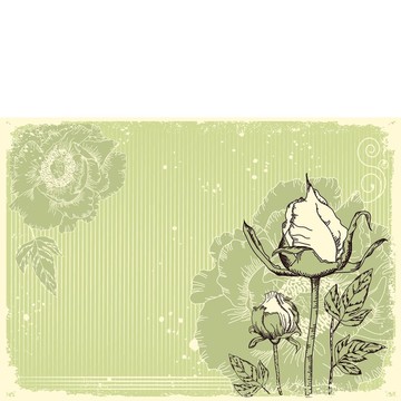 明信片的牡丹花的垃圾