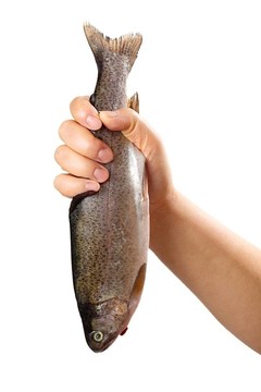 魚(yú)