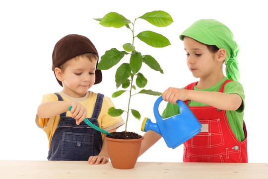 照料植物的小孩；白色隔離
