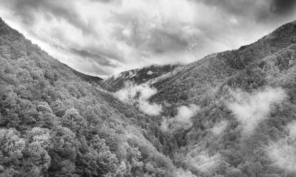 在tarcu山的早晨