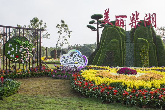 菊展造型