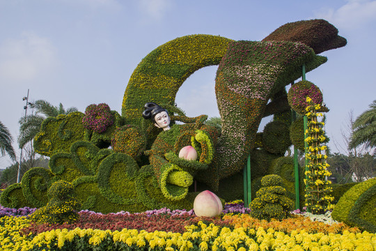 菊展造型