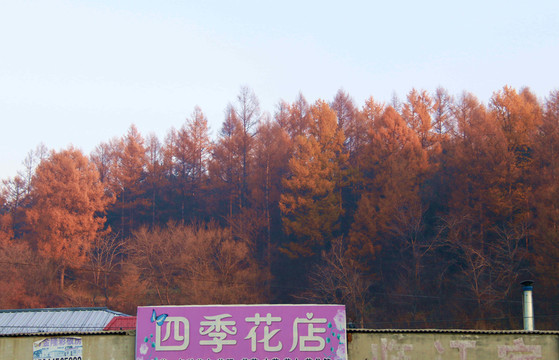 秋色