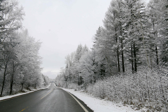 林海雪原