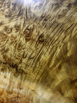 木紋 金絲楠