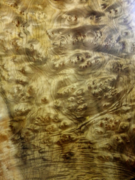 金絲楠