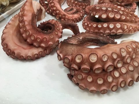 章魚(yú)