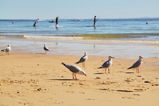 私人海灘