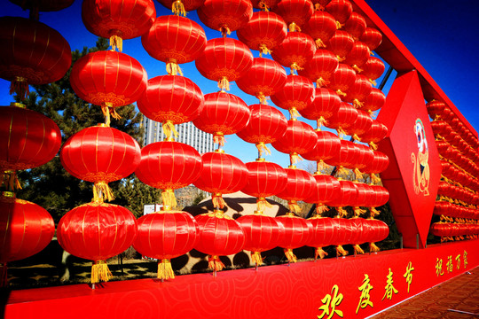 春節(jié)紅燈籠