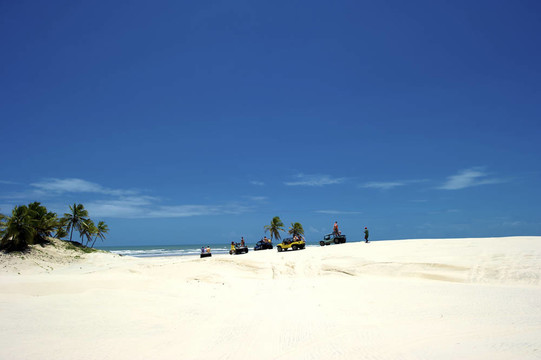 曼格山高；Bahia；巴西
