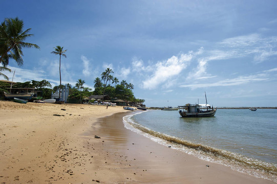普臘亞復(fù)地；Bahia；巴西